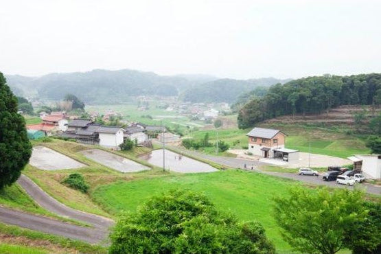 【グルテンフリー】特別栽培米100%使用の玄米麺×3袋