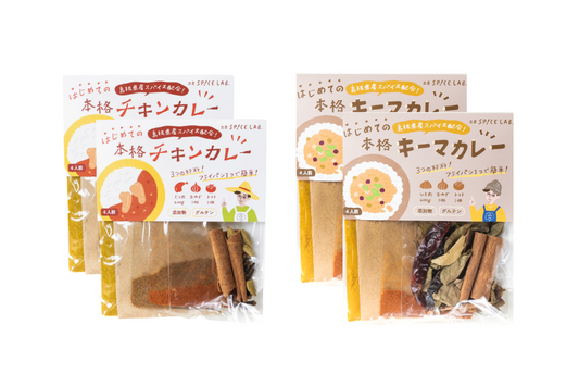 【送料無料でまとめ買い】カレーキット2種×2