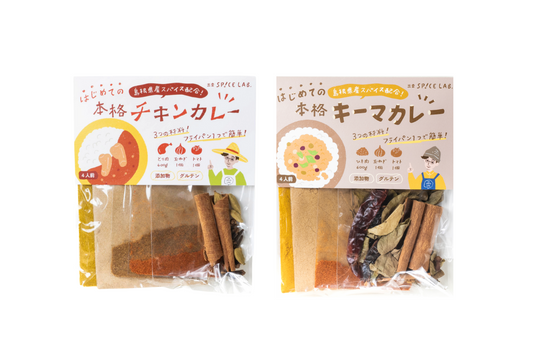 【人気No.1】カレーキット2種食べ比べセット
