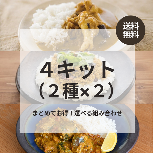 【送料無料でまとめ買い】カレーキット2種×2